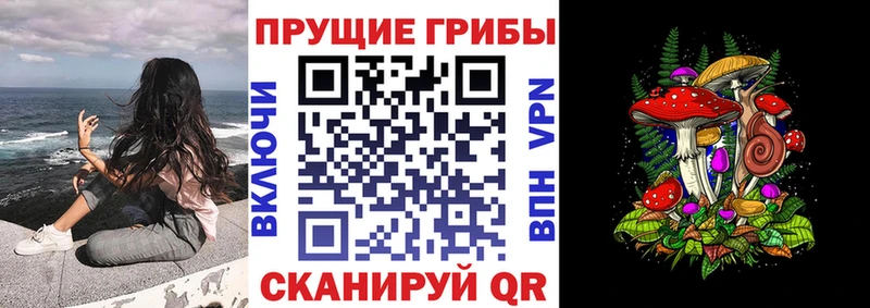 Псилоцибиновые грибы прущие грибы  Тамбов 