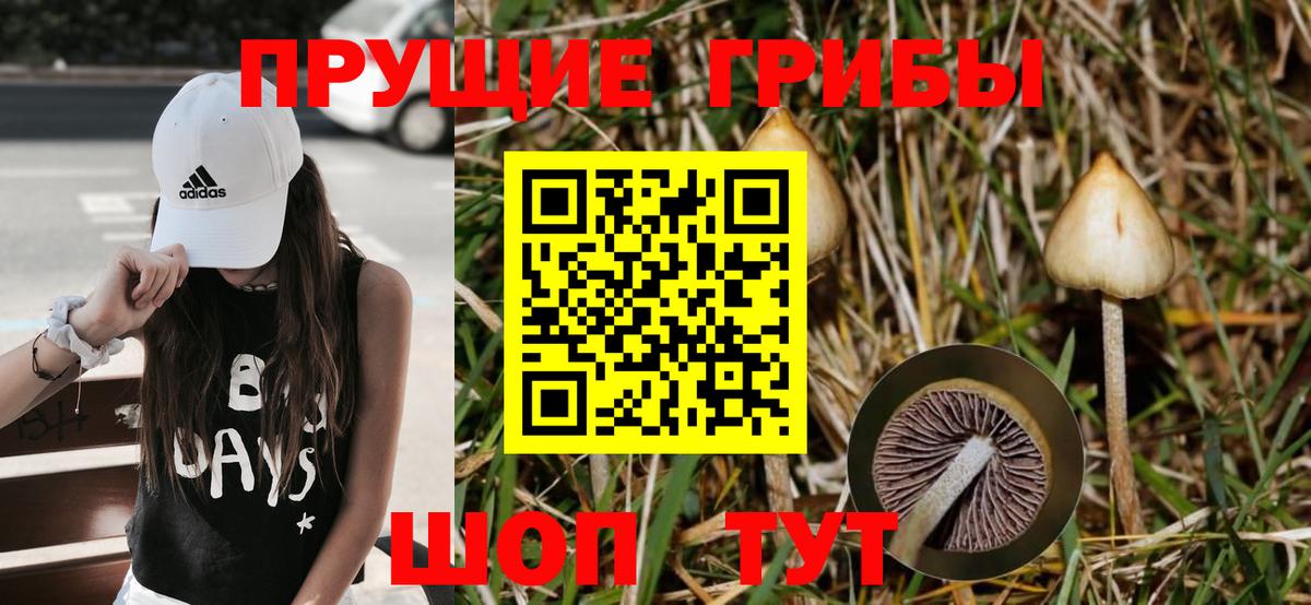 Галлюциногенные грибы Magic Shrooms Тамбов
