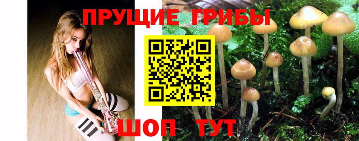 Тамбов  NBOMe  Меф   МДМА  Вход с VPN  A PVP СОЛЬ кристаллы  Марихуана 