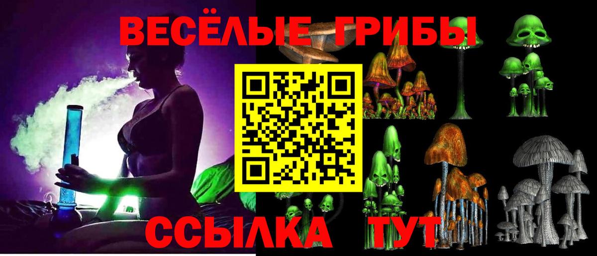 Тамбов  Галлюциногенные грибы Psilocybe  Вход с VPN  Галлюциногенные грибы GOLDEN TEACHER 